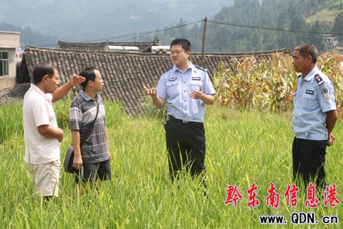 �����Ȟ�  �Ž��������Єӣ��D��