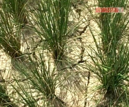 �Ľ���16�f���r�����ܞ� ����漱���D��