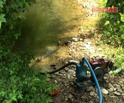 �Ľ���16�f���r�����ܞ� ����漱���D��