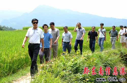 ��կ�hί��ӛ���i�����{���Ż�ҕ�캵��(�D)