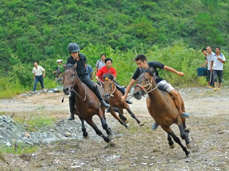 �P����կِ�R��ţ�[�����¡� ���M�D��