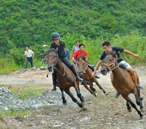 �P����կِ�R��ţ�[�����¡�&nbsp;���M�D��