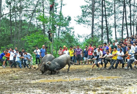 �P����կِ�R��ţ�[�����¡� ���M�D��