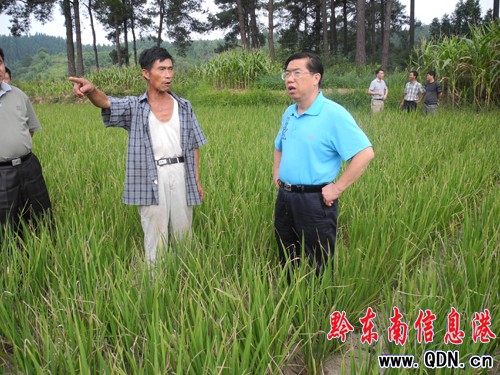 ���˴������_����(qu��n)���~���(zh��n)�{(di��o)�к��飨�D��