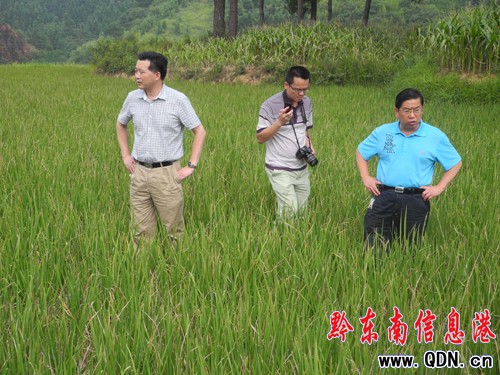 ���˴������_����(qu��n)���~���(zh��n)�{(di��o)�к��飨�D��