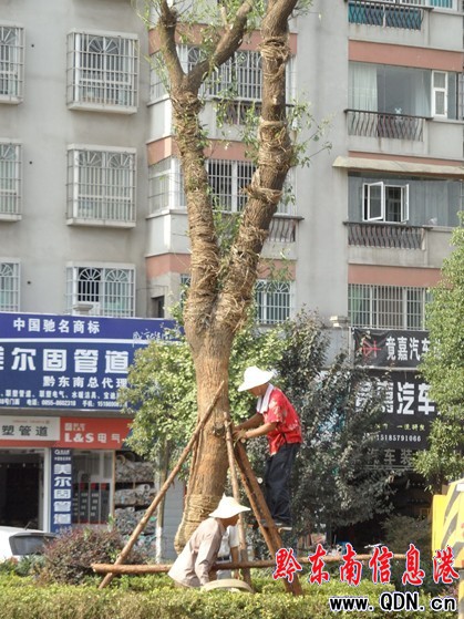 �P���д��������G���� �鄓���������Ʋ�����