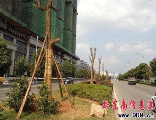 �P���д��������G���� �鄓���������Ʋ�����