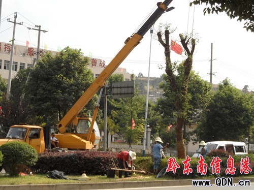 �P���д��������G���� �鄓���������Ʋ�����