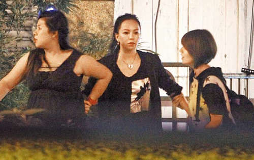 ������39�q���պȸ� �p�{�Ǝ���������(�D)