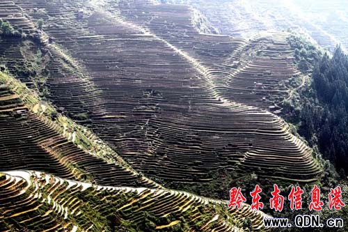 ǭ�|��:�����Ļ����x�޴� ���О��������Ա��o