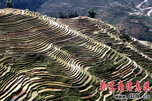 ǭ�|��:�����Ļ����x�޴� ���О��������Ա��o