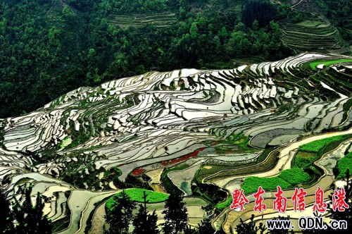 ǭ�|��:�����Ļ����x�޴� ���О��������Ա��o