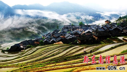 ǭ�|��:�����Ļ����x�޴� ���О��������Ա��o