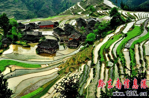 ǭ�|��:�����Ļ����x�޴� ���О��������Ա��o