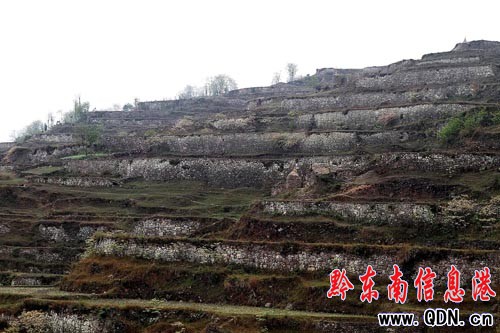 ǭ�|��:�����Ļ����x�޴� ���О��������Ա��o(h��)