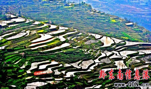 ǭ�|��:�����Ļ����x�޴� ���О��������Ա��o(h��)