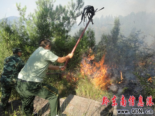 ɽ����Ű���{��̖�� ʩ�������o����Ԯ(�D)