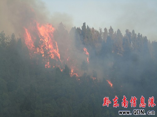 ɽ����Ű���{��̖�� ʩ�������o����Ԯ(�D)