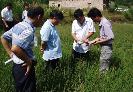 ����hһ�е��Sƽ�h�z��ָ�������ȞĹ���