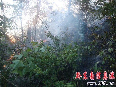 ɽ�𚧘��� �齭������η��������ħ���D��