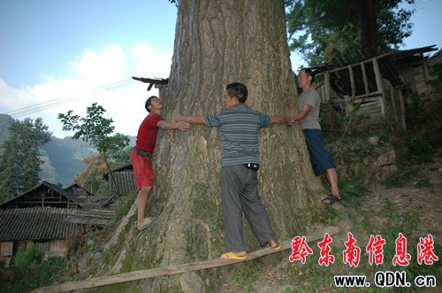 ���Ӱ����y�Ә�ؽ�����o���D��