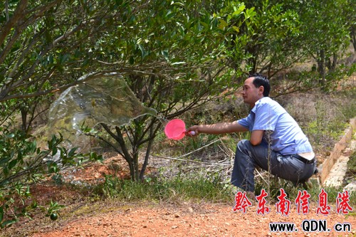 �\���f���ո���������(z��i) ���r(n��ng)��ˮ�������ճ�