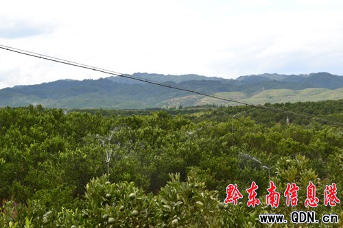 �\���f���ո���������(z��i) ���r(n��ng)��ˮ�������ճ�