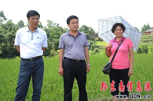 ��կ�hί��ӛ���i����һ��ָ�������ȞĹ���