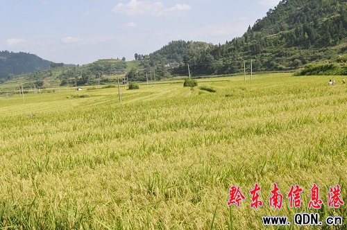 ��2�f�஀����N�ӡ��������x �S������