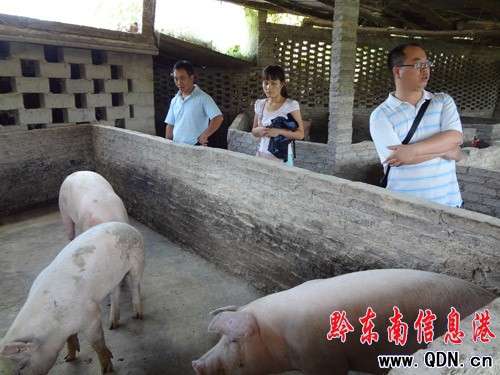 �_��Ӌ�����T�ͷ�28���r��