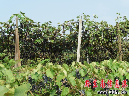 ʩ����480������ϲ�@�S�գ��D��