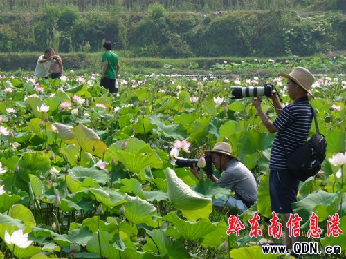 �P����Ϫ���ɻ��_�����G�r���M�D��