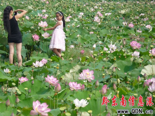 �P����Ϫ���ɻ��_�����G�r���M�D��