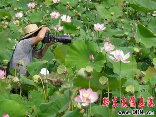 �P����Ϫ���ɻ��_�����G�r���M�D��