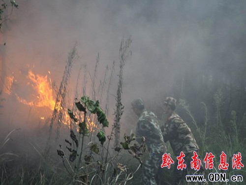 ɽ����ŰΣ������վ ���������ӓ����