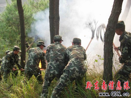 ɽ��͵�u������ ���Ӿ���(li��n)�֊^�����(�D)