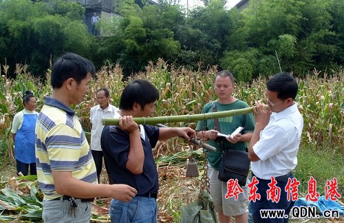 ��ɽ�ƌW(xu��)����568�����׸߮a(ch��n)ʾ��ϲ�@�S��(�D)