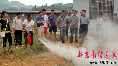 ��������վ�T���W���� �F��������������D��