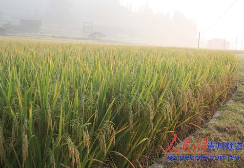 �\����8�f���еͮa(ch��n)���S���������D��