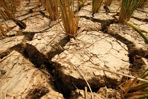 ǭ�|�Ϻ���ӄ���������w���o�գ��M�D��