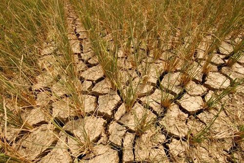 ǭ�|�Ϻ���ӄ���������w���o�գ��M�D��