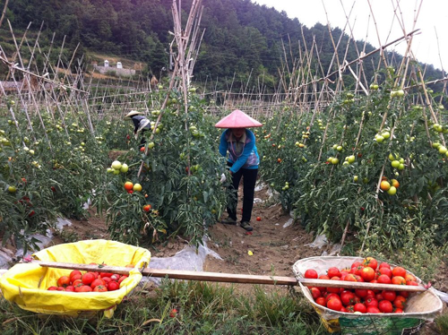 �齭�h��ɫ�r�I���غ���r�p�a���p��(�D)