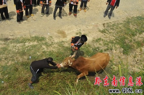 ��ɽ����կ�h�ƃxʽ����Ҏ���f�ף��M�D��