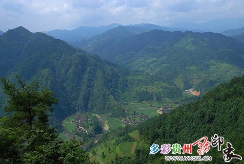 �_�����ܺ����{�� Ư���Ĵ̼���ζ���r���