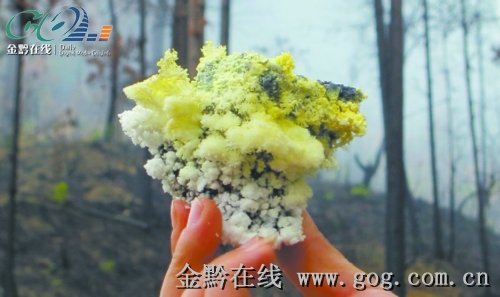 ��·߅����������ɽ�����D��