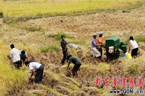 ���pʧ������� ���Ȳ���æ���գ��D��