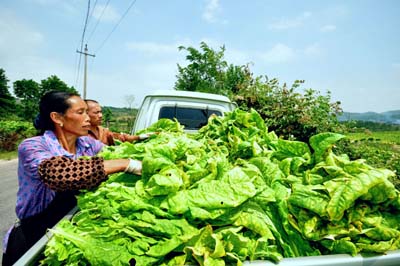 ���r��ժ�濾 �������ջݟ��r���D��