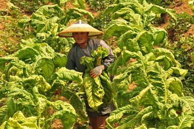 ���r��ժ�濾 �������ջݟ��r���D��