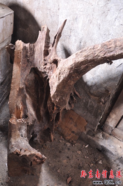 �r(n��ng)���،��ž� �@�F(xi��n)�δ��ƱK�루�M�D��