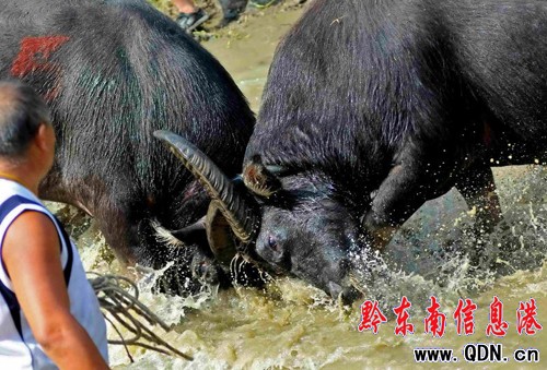 ��կ�����ҵĺ��ж�ţ���M�D��